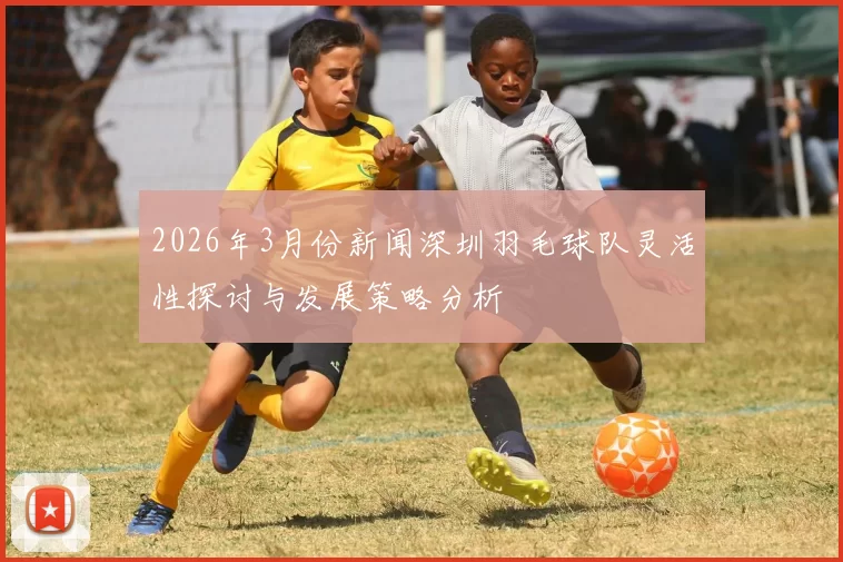 2026年3月份新闻深圳羽毛球队灵活性探讨与发展策略分析