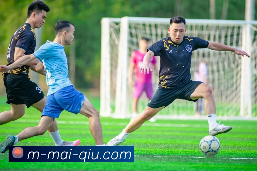 深圳篮球队实力引发热议球迷观点分歧引发讨论